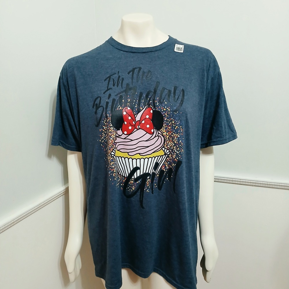 Minnie Mouse Birthday Girl Graphic Tee XL Navy Heather Cupcake T-Shirt
